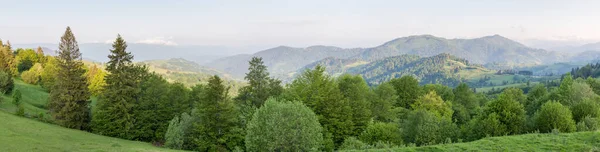 カルパチア山脈の森林や山の牧草地と山の尾根 春の晴れた朝に広いパノラマビュー — ストック写真