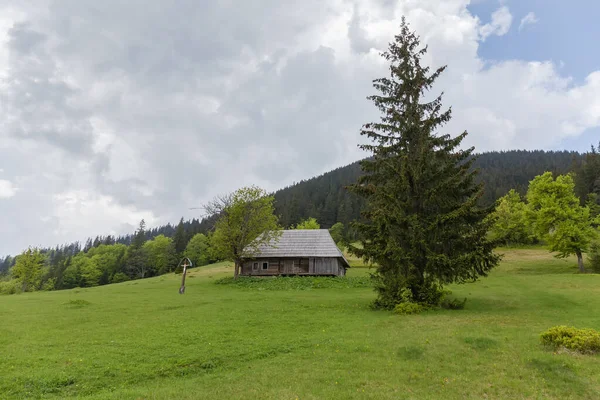 Bergwiese Mit Alter Hölzerner Hirtenhütte Bewaldeten Berg Und Wolkenverhangenem Himmel — Stockfoto