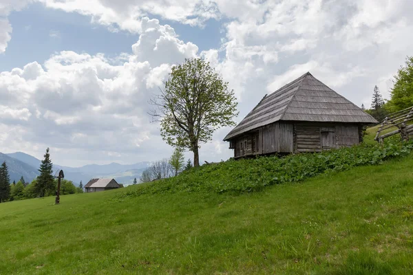 カルパチア山脈の曇りの春の日に遠くの山の尾根と曇り空に対して古い木製の牧畜小屋と山の牧草地 — ストック写真