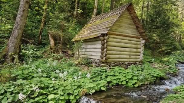 森林里的山溪和春天的旧木屋 — 图库视频影像