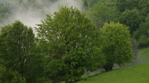 Bergkämme Nach Einem Regen Frühling Den Karpaten — Stockvideo