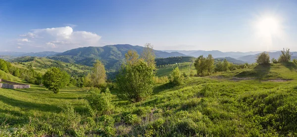 在喀尔巴阡山脉 在阳光灿烂 多风的天气里 山脉森林中的山地草甸 在春天里 广袤的全景尽收眼底 — 图库照片