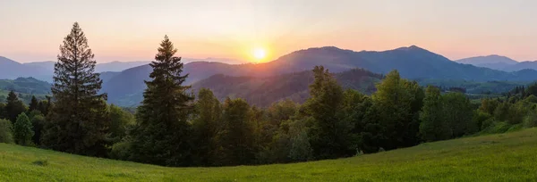 喀尔巴阡山脉的山脊上有森林和山地草甸 在阳光明媚的天气里 在春日落日的余晖中 可以看到全景 — 图库照片