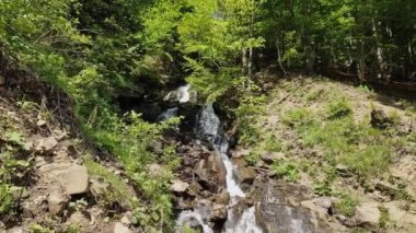 Ormandan akan bir derede şelale.