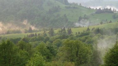 Karpat Dağları 'nda gün batımında yağmur sonrası tepe manzarası