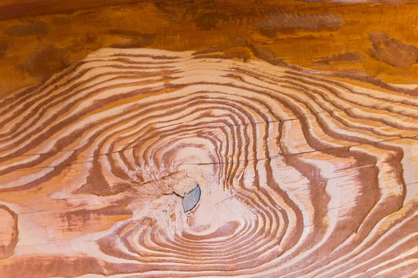 Lakkozott Természetes Fenyőfa Töredéke Csomóval Kifejezett Éves Növekedési Vonalakkal — Stock Fotó