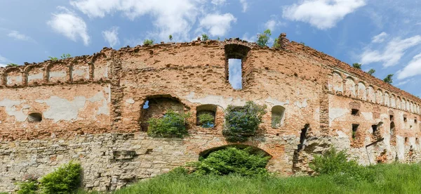 Panorama Muru Obronnego Średniowiecznego Zamku Zbudowanego Kamienia Cegieł Krzewami Rosnącymi — Zdjęcie stockowe