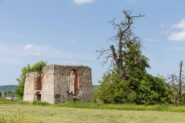 日当たりの良い日には 切り立った中世の石積みとレンガ造りの防衛塔の遺跡と一部乾燥した木 — ストック写真