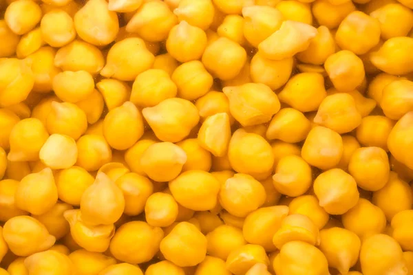 Whole Uncooked Yellow Chickpeas Soaked Cold Water Preparing Faster Cooking — Stock Photo, Image