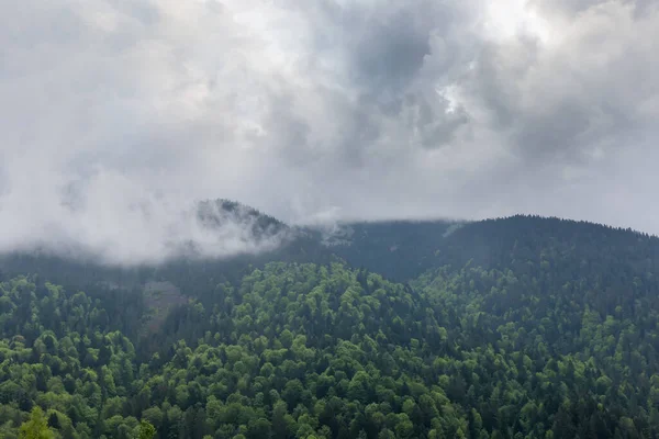 Horský Svah Zarostlý Lesem Zamračenou Oblohou Nad Ním Vrchol Hřebene — Stock fotografie