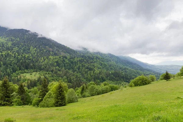 カルパチア山脈の春の雨の後に雲に覆われた上で森に覆われた前景と反対側の斜面に山の牧草地と谷 — ストック写真