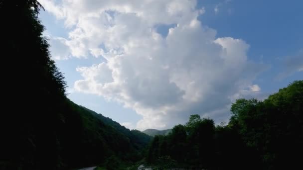 Zalesione Zbocza Ciemnego Górskiego Wąwozu Podczas Poruszania Się Wzdłuż Drogi — Wideo stockowe
