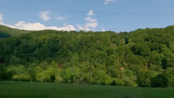 Dağ Vadisinin Ormanlık Yamacında Yol Boyunca Ilerlerken — Stok video
