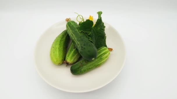 新鲜收获的黄瓜 花在白盘上 — 图库视频影像