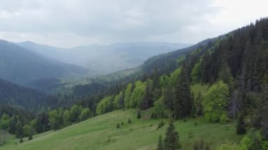 Karpat Dağları 'nda ormanla kaplı dağ yamacı, hava manzarası