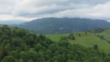 Karpat Dağları 'ndaki çayırlarla kaplı dağ sıraları, hava manzaralı.