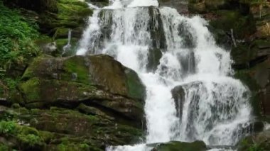 Kayın ormanlarındaki şelale baharda Karpat dağlarında