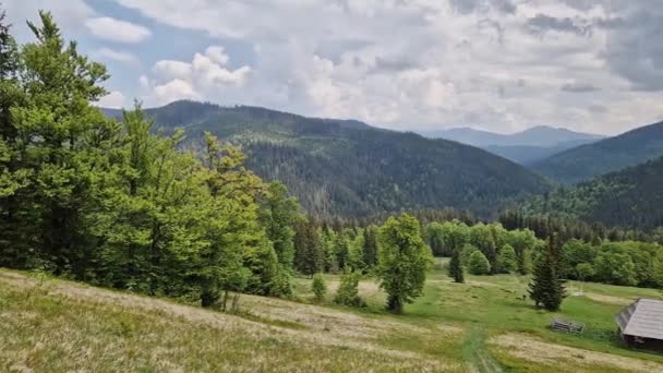 Horská Louka Dřevěnou Pastýřskou Chatou Karpatech — Stock video