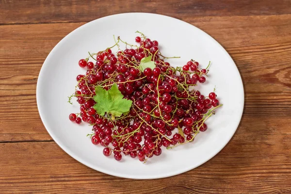 Freshly Harvested Ripe Redcurrant Racemes White Dish Rustic Table — Stock Photo, Image