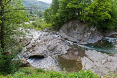 Bahar akşamları nehir kıyısında şelale ve ormanla kaplı bir yer.
