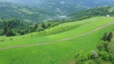 Dağ vadisi yamaçları çayır ve ormanla kaplı, hava manzaralı.