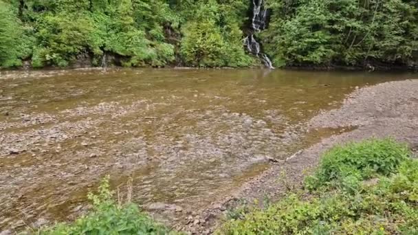 Vattenfall Skog Fjällbäck Som Rinner Flod — Stockvideo