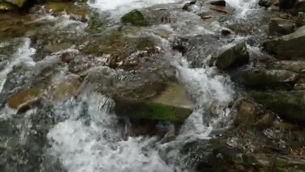 Ποταμός Βουνού Νερό Ρέει Ανάμεσα Στις Πέτρες Κοντινό Πλάνο — Αρχείο Βίντεο