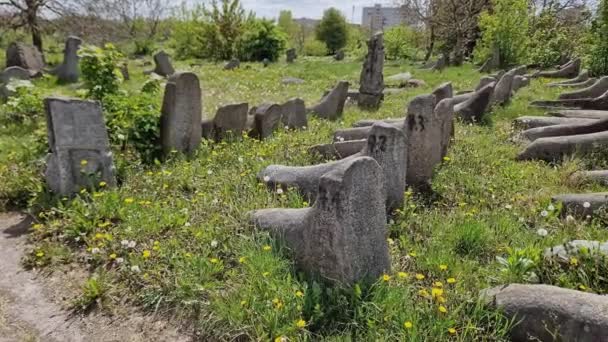 Древнее Еврейское Кладбище Старыми Каменными Надгробиями Солнечный День — стоковое видео