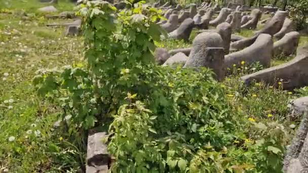 Antiguo Cementerio Judío Con Lápidas Piedra Vieja Día Soleado — Vídeos de Stock