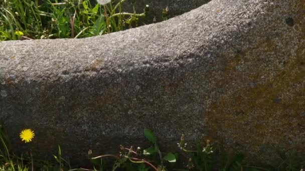 Pedra Velha Lápides Antigo Cemitério Judaico Dia Ensolarado — Vídeo de Stock