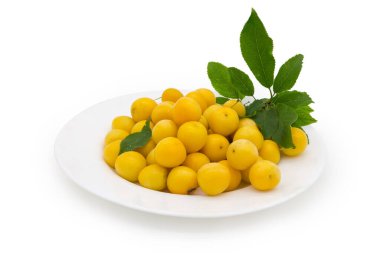 Taze toplanmış sarı kiraz erikleri ve kiraz ağacının dalları beyaz arka planda beyaz bir tabakta yapraklarla yan görünüm