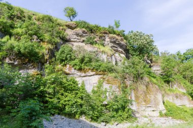 Kanyonun dik kayalık duvarında büyüyen ağaçlar ve çalılar, güneşli bahar sabahında alt manzara