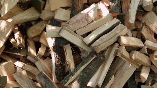 Heap Split Firewood Sunny Day Shade — Stock Video