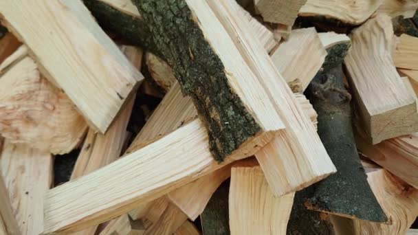 Heap Split Firewood Sunny Day Shade — Stock Video