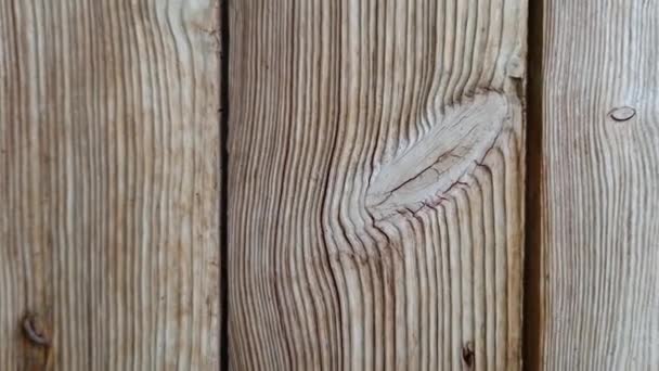 Povrch Starých Dřevěných Dveří Hrubě Opracovaných Prken — Stock video