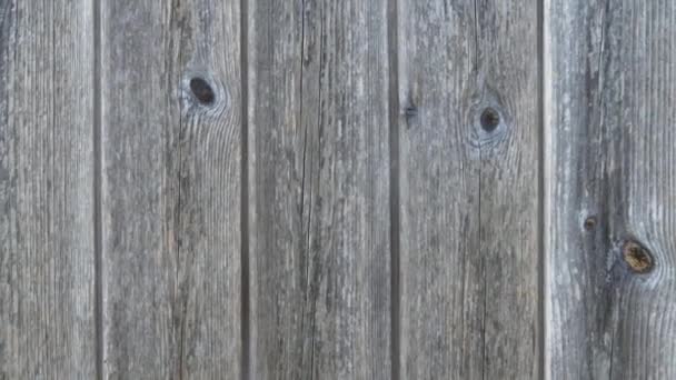 Oberfläche Einer Alten Holztür Aus Grob Gehandhabten Brettern — Stockvideo