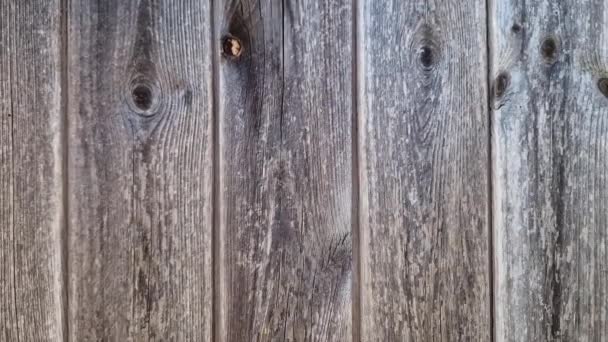 Поверхность Старой Деревянной Двери Сделанная Грубо Обработанных Досок — стоковое видео