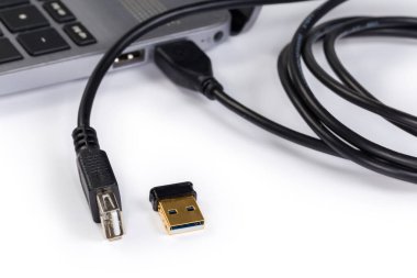 Standard-A 'nın USB uzantı kablosu, dizüstü bilgisayara bağlı, USB aygıtı beyaz arka planda ayrı ayrı, seçici odak noktasında yakın plan görüntüsü