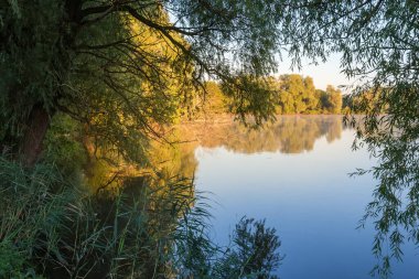 Sakin suları ve söğütlerin dalları olan gölet güneşli bir sabahta ön planda sallanıyor.