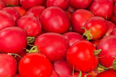 Taze toplanmış kırmızı ve pembe domates yığını, seçici odak noktasında yakın plan.