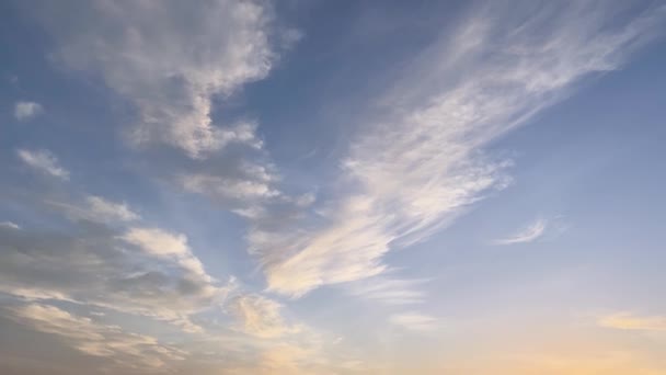 Obloha Cirrus Mraky Nad Stromy Siluety Při Západu Slunce — Stock video