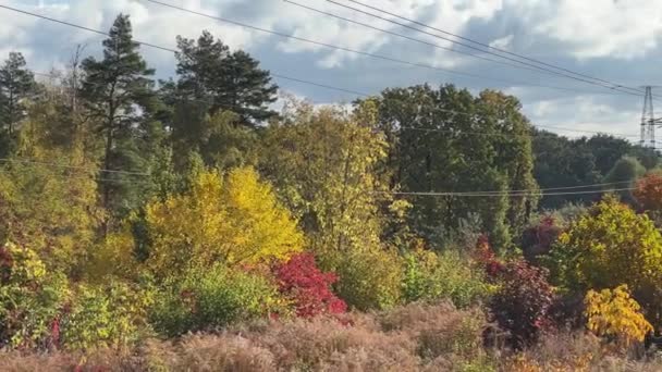 Mehrere Freileitungen Herbstwald Bei Sonnigem Wetter — Stockvideo