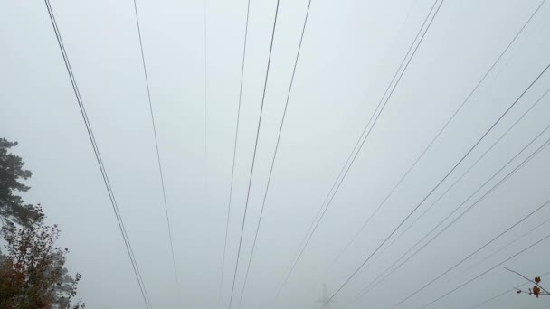 Τρεις Εναέριες Γραμμές Ηλεκτρικής Ενέργειας Μεταξύ Των Φθινοπωρινών Δασών Ομίχλη — Αρχείο Βίντεο