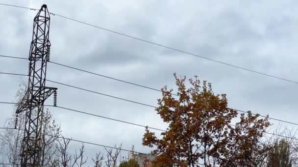 Two Overhead Power Lines Trees Cloudy Sky — Stock Video
