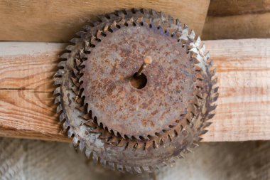 Sabit bir elektrikli testereyle odun kesmek için kullanılan paslı, kısmen paslı, çelik testere bıçakları duvarda asılı, sığ bir alan derinliği var.