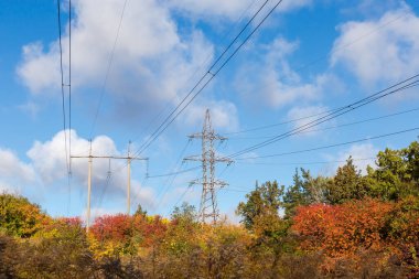 Güneşli bir günde sonbahar ormanı arasında beton kutuplar şeklinde çelik kafes iletim kuleleri ve kuleleri olan iki farklı üstten elektrik hattı.