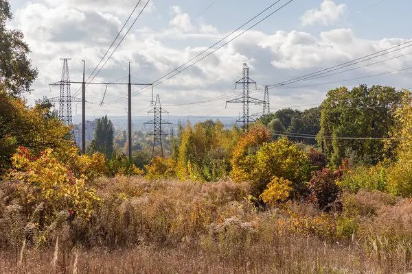 Güneşli bir günde sonbahar ormanı arasında beton kutuplar şeklinde çelik kafes iletim kuleleri ve kuleleri olan iki farklı üstten elektrik hattı.