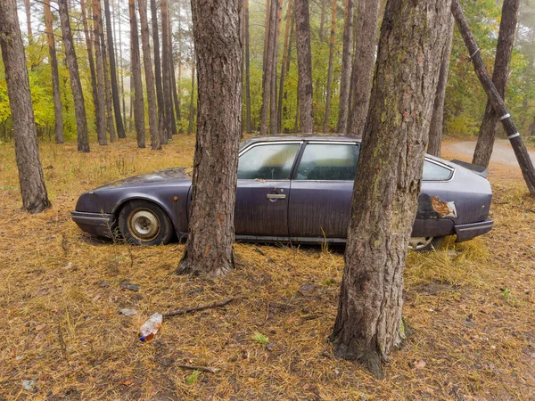 森の中のパインの中に不法に捨てられたダークカラーの古い車を放棄し 秋の朝に見える ストック写真