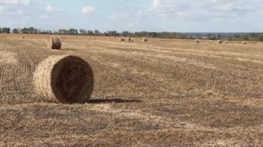 Gökyüzüne karşı hasat edilen tarlada yuvarlak tahıl balyaları