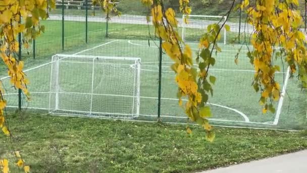 Birkenzweige Mit Herbstlaub Hängen Gegen Sportplatz — Stockvideo